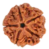 rudraksha-suggestion1
