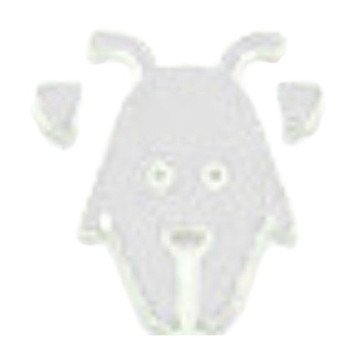 Capricorn