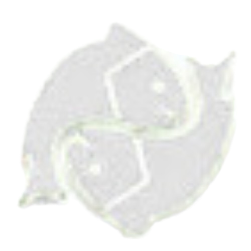 Pisces