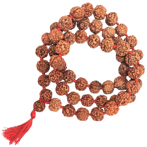 5-Mukhi-Rudraksha-Kantha